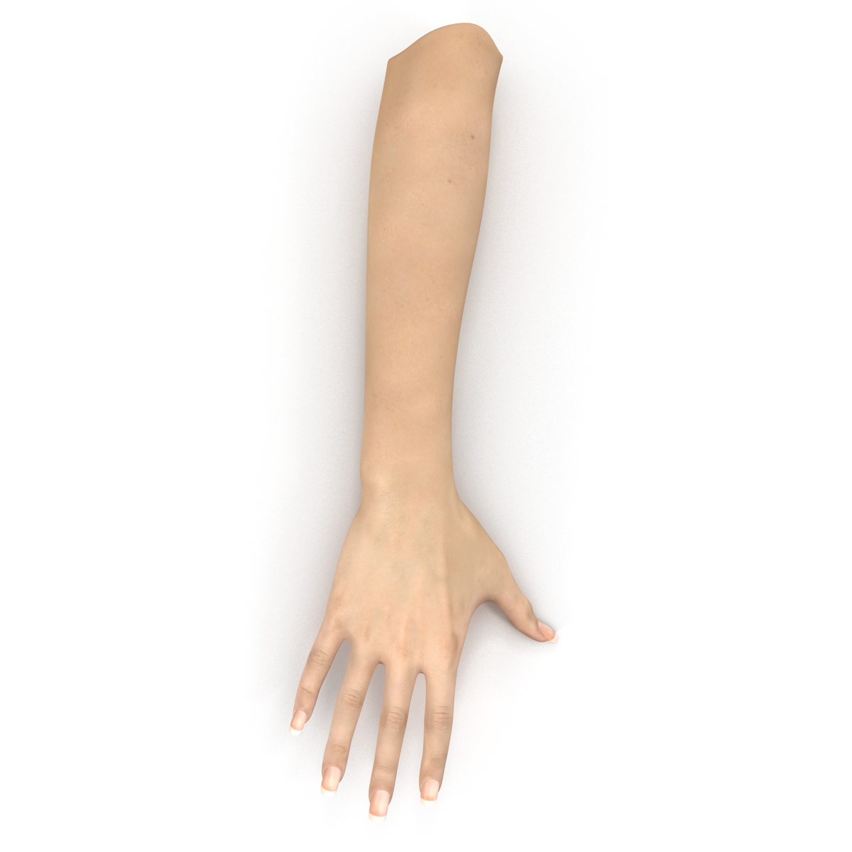 3D Female Hand 3 model