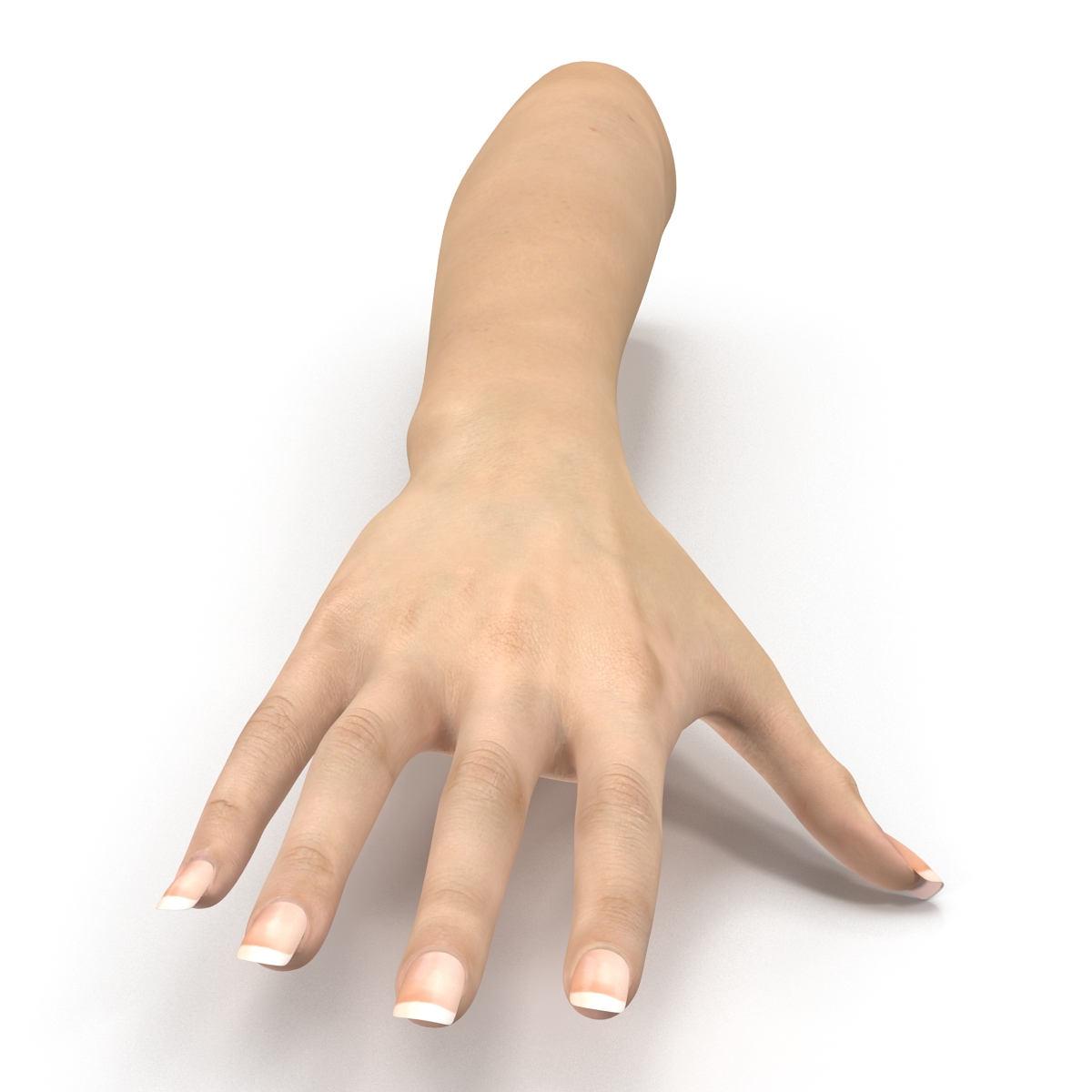 3D Female Hand 3 model