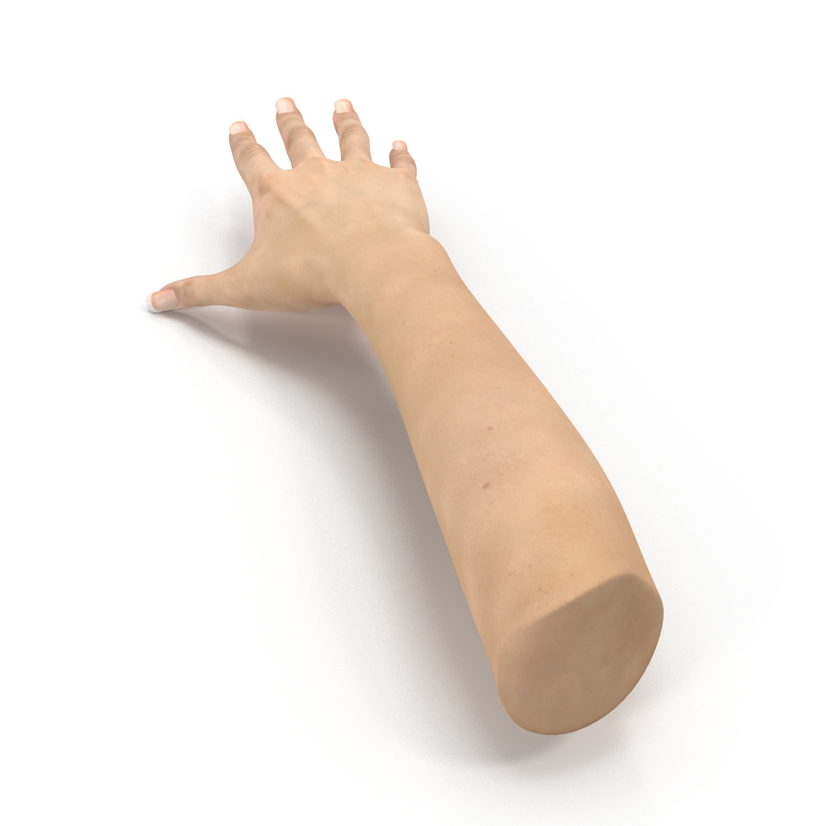 3D Female Hand 3 model