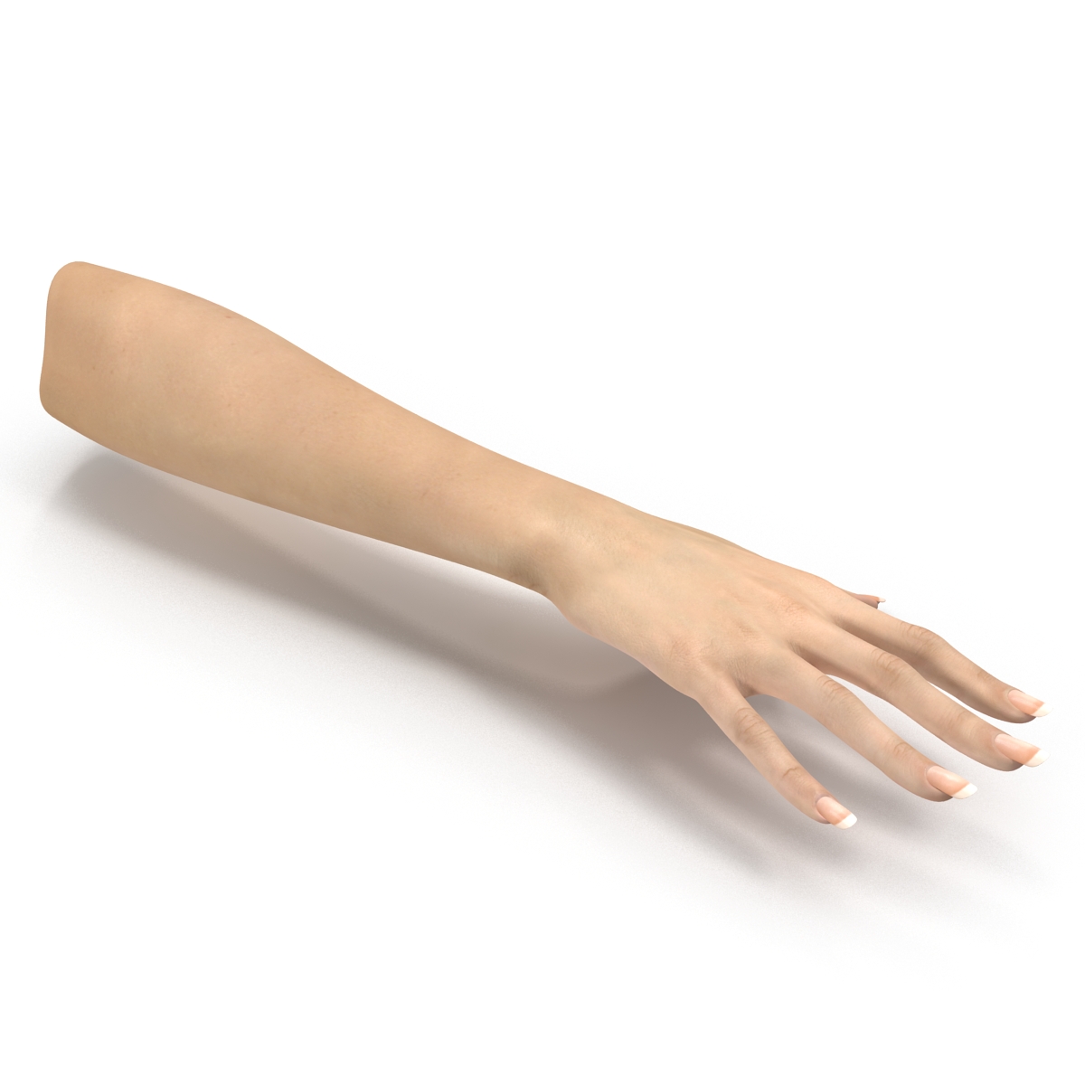 3D Female Hand 3 model