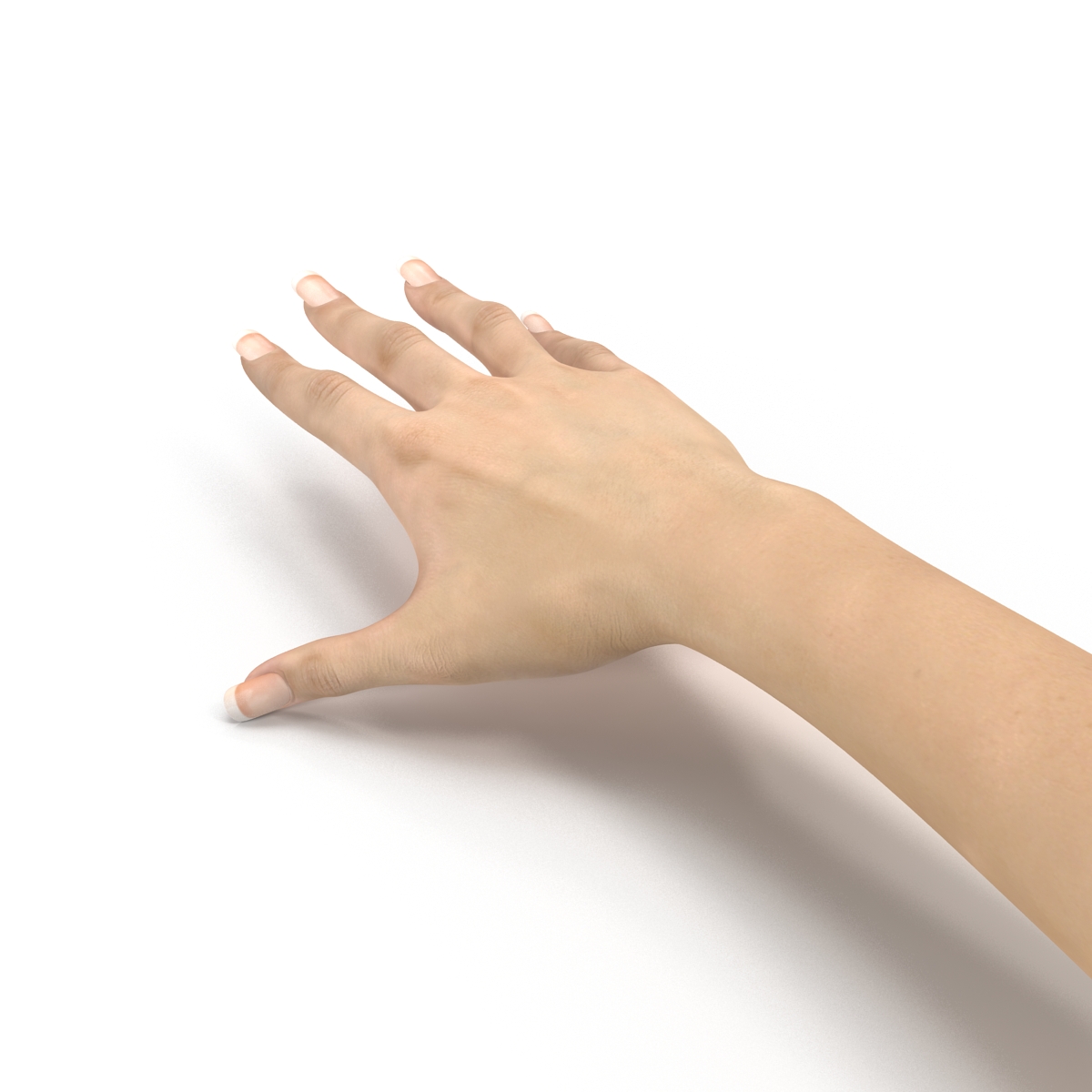 3D Female Hand 3 model