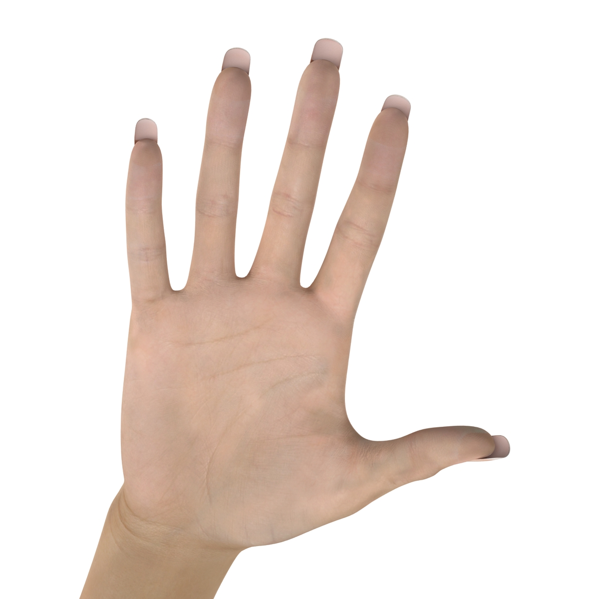 3D Female Hand 3 model