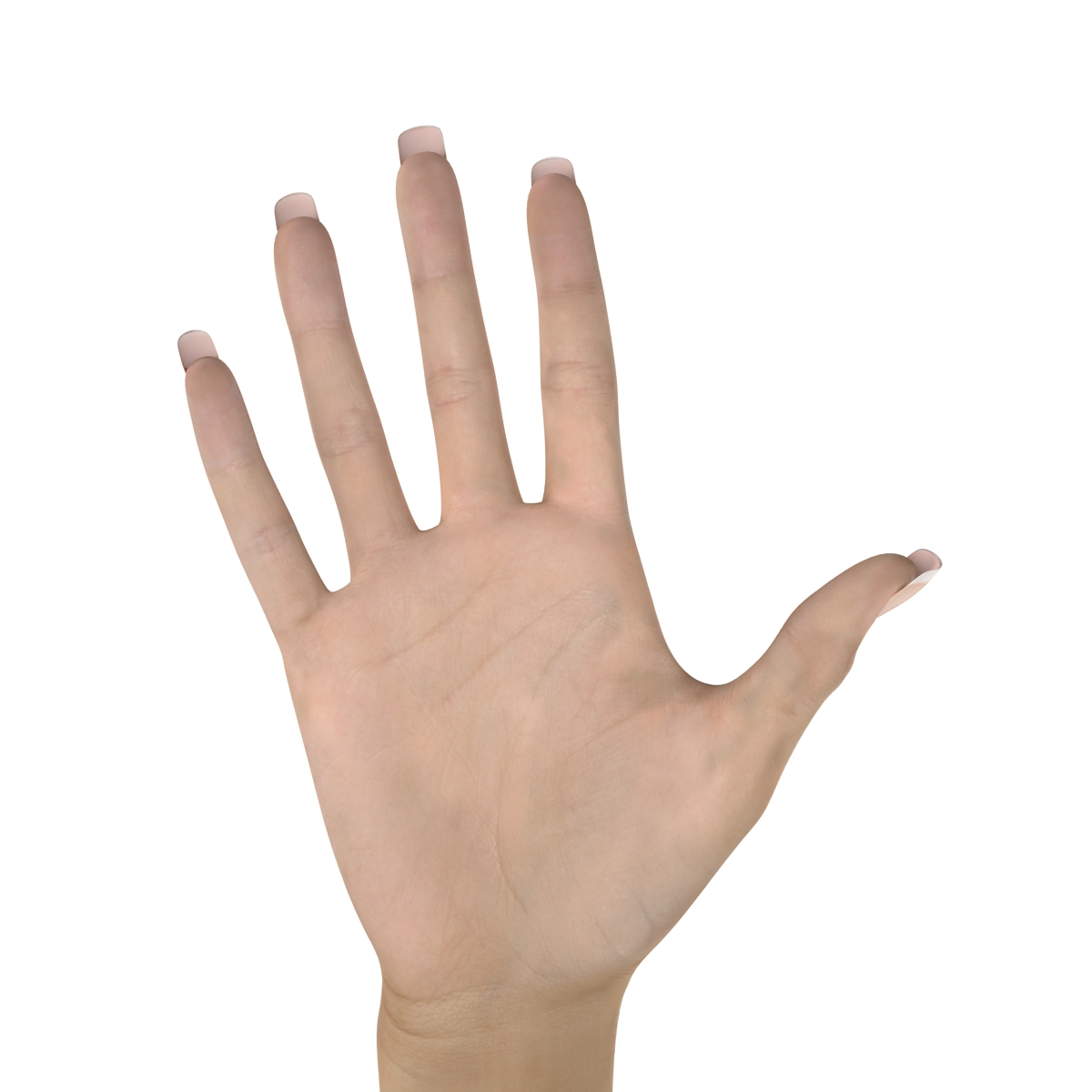 3D Female Hand 3 model