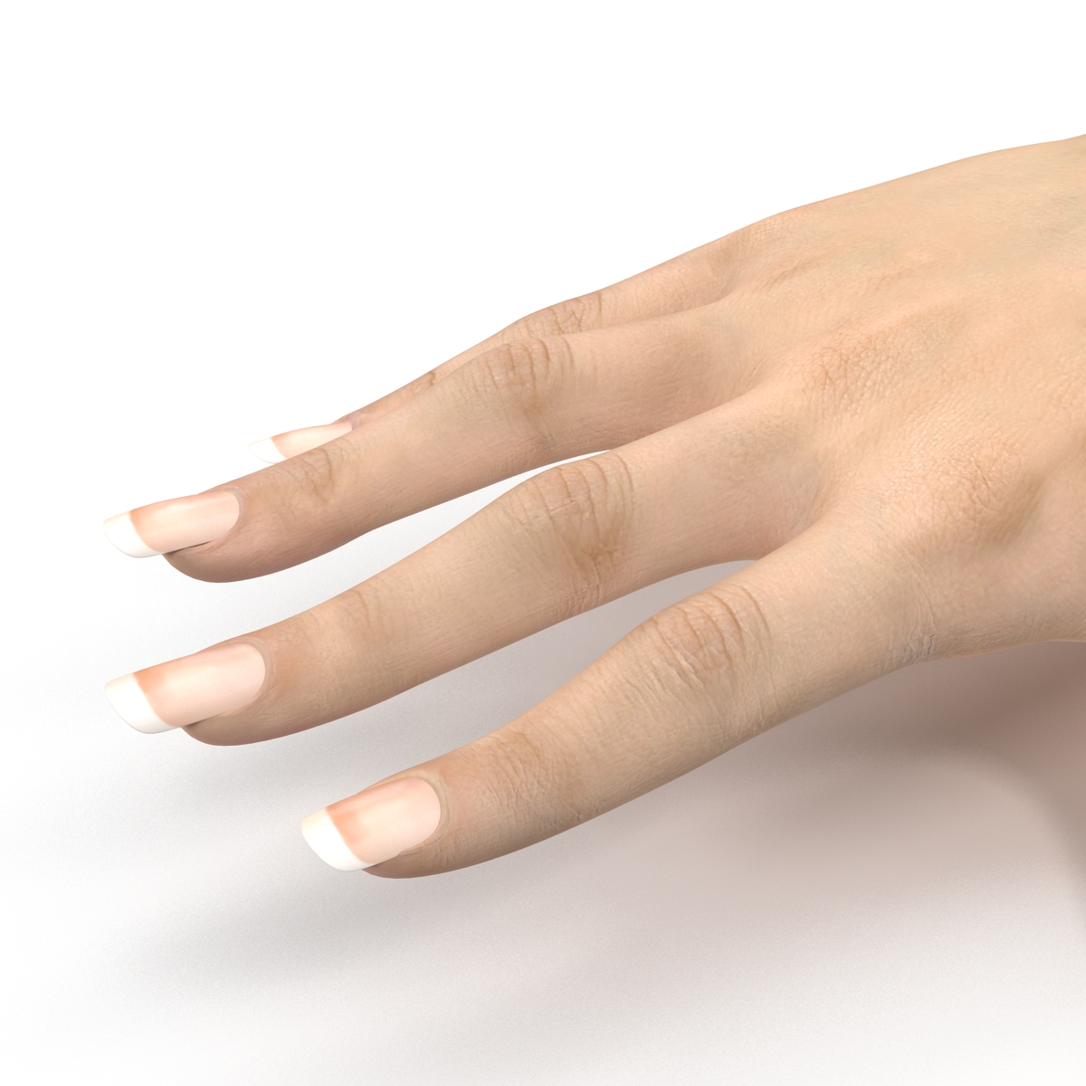 3D Female Hand 3 model