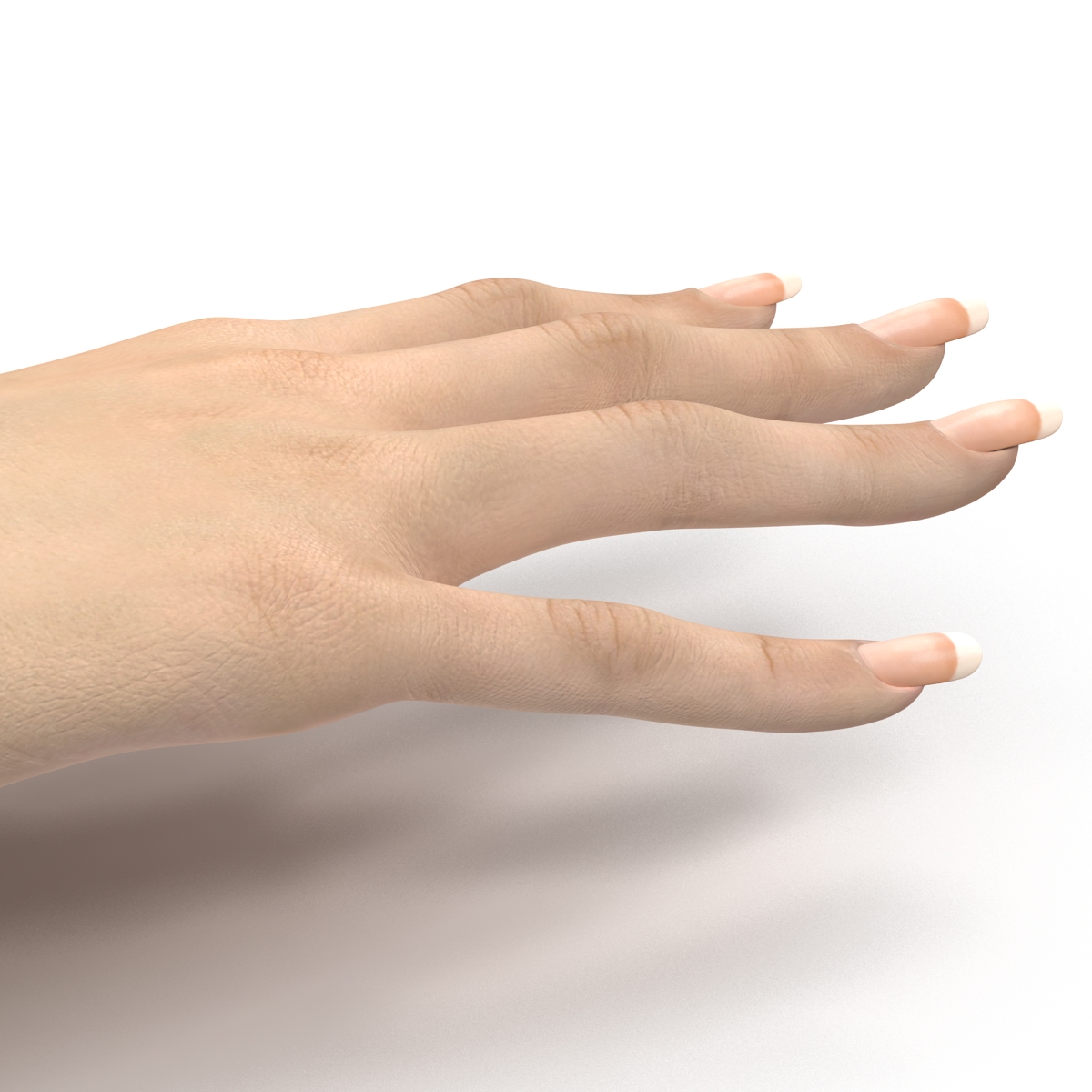 3D Female Hand 3 model