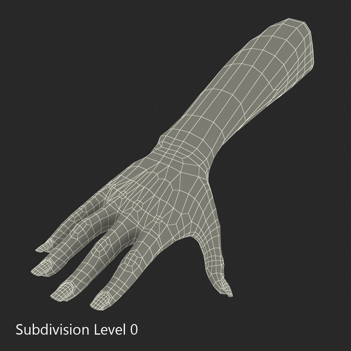 3D Female Hand 3 model