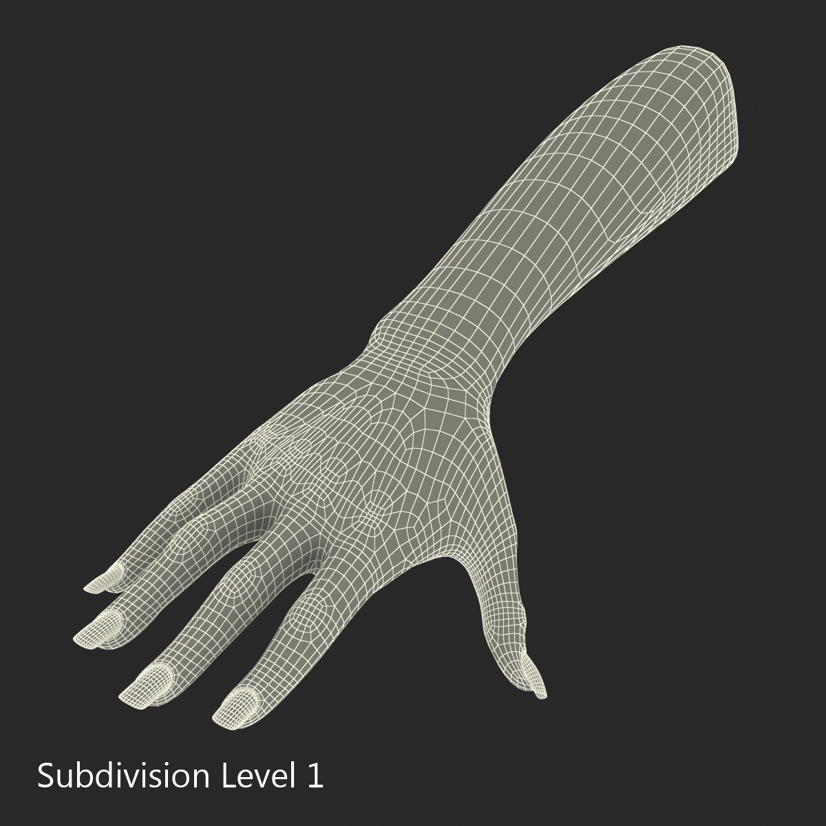 3D Female Hand 3 model