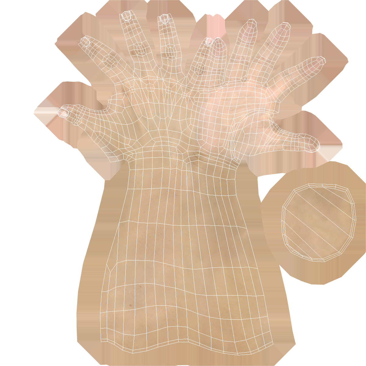 3D Female Hand 3 model