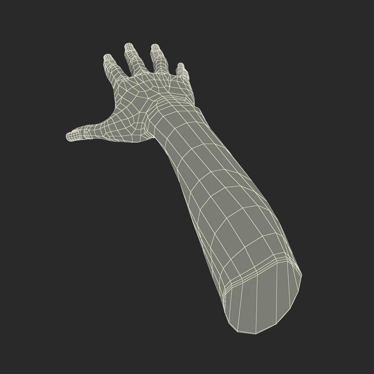 3D Female Hand 3 model