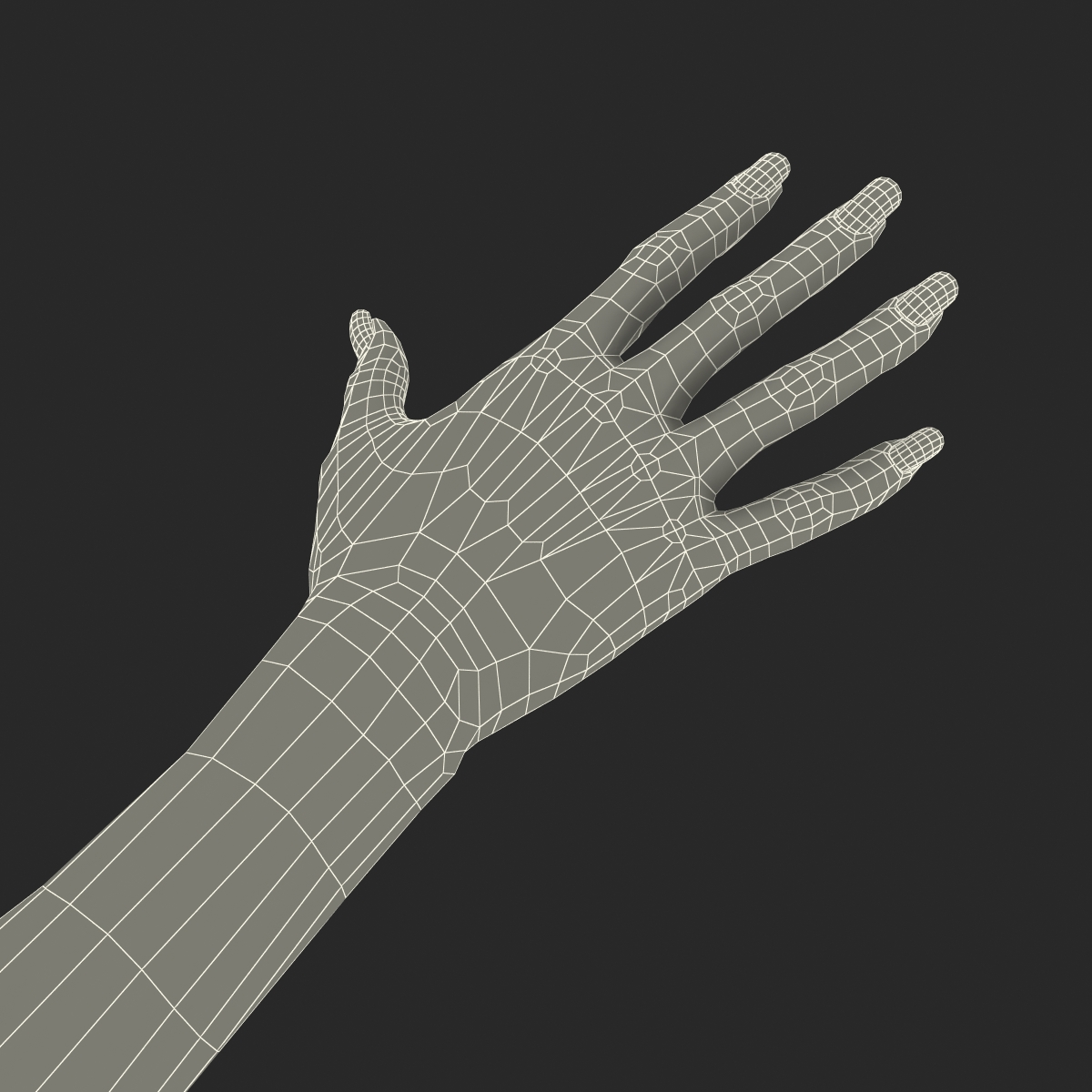 3D Female Hand 3 model