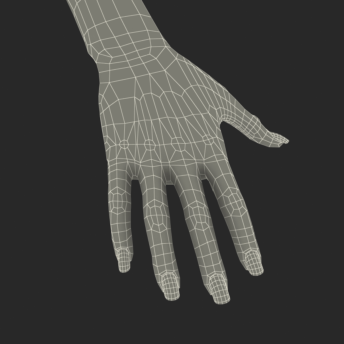 3D Female Hand 3 model