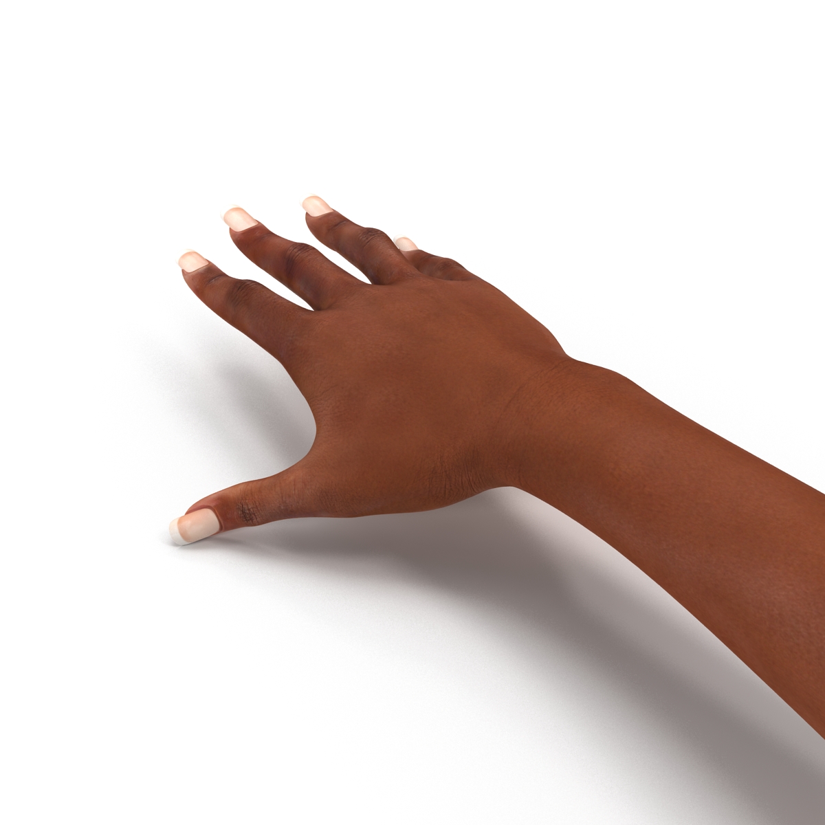 3D Female Hand African American model