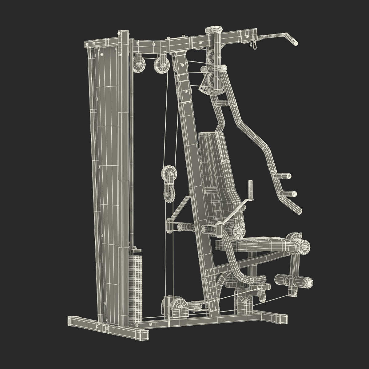 3D Weight Machine 2