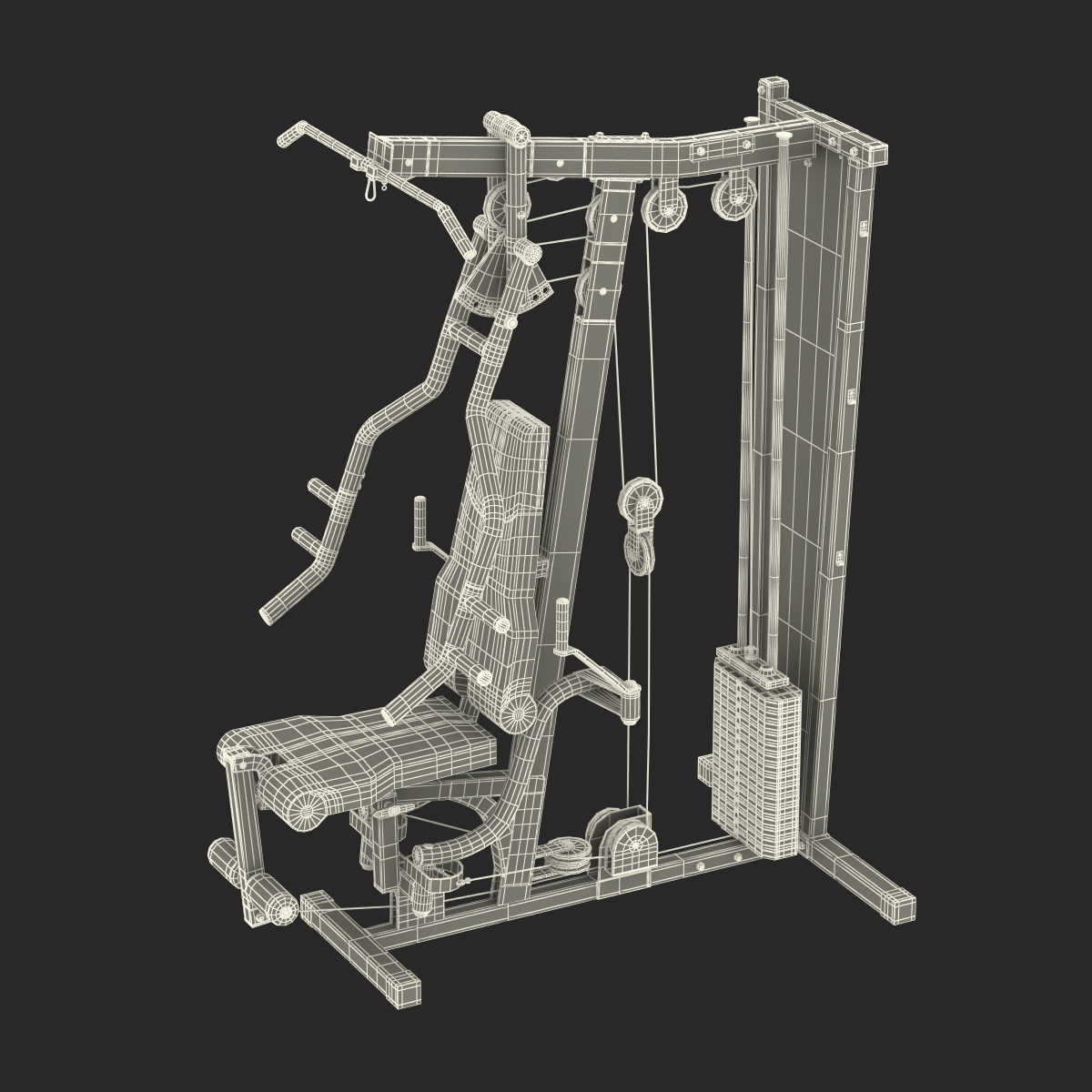 3D Weight Machine 2