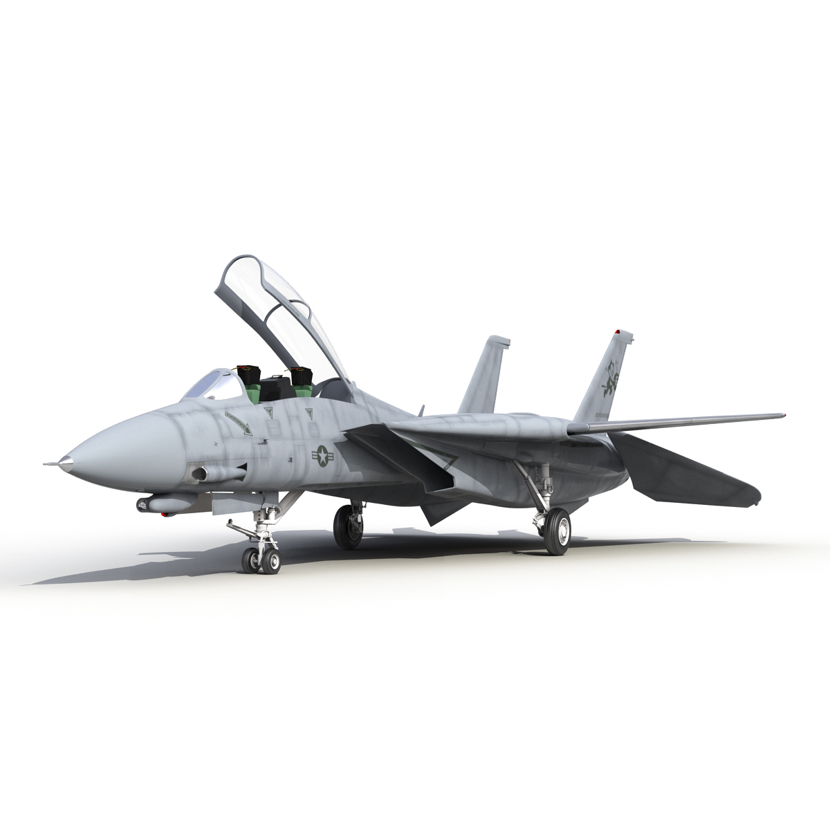 3D model F 14 Tomcat US Combat Aircraft