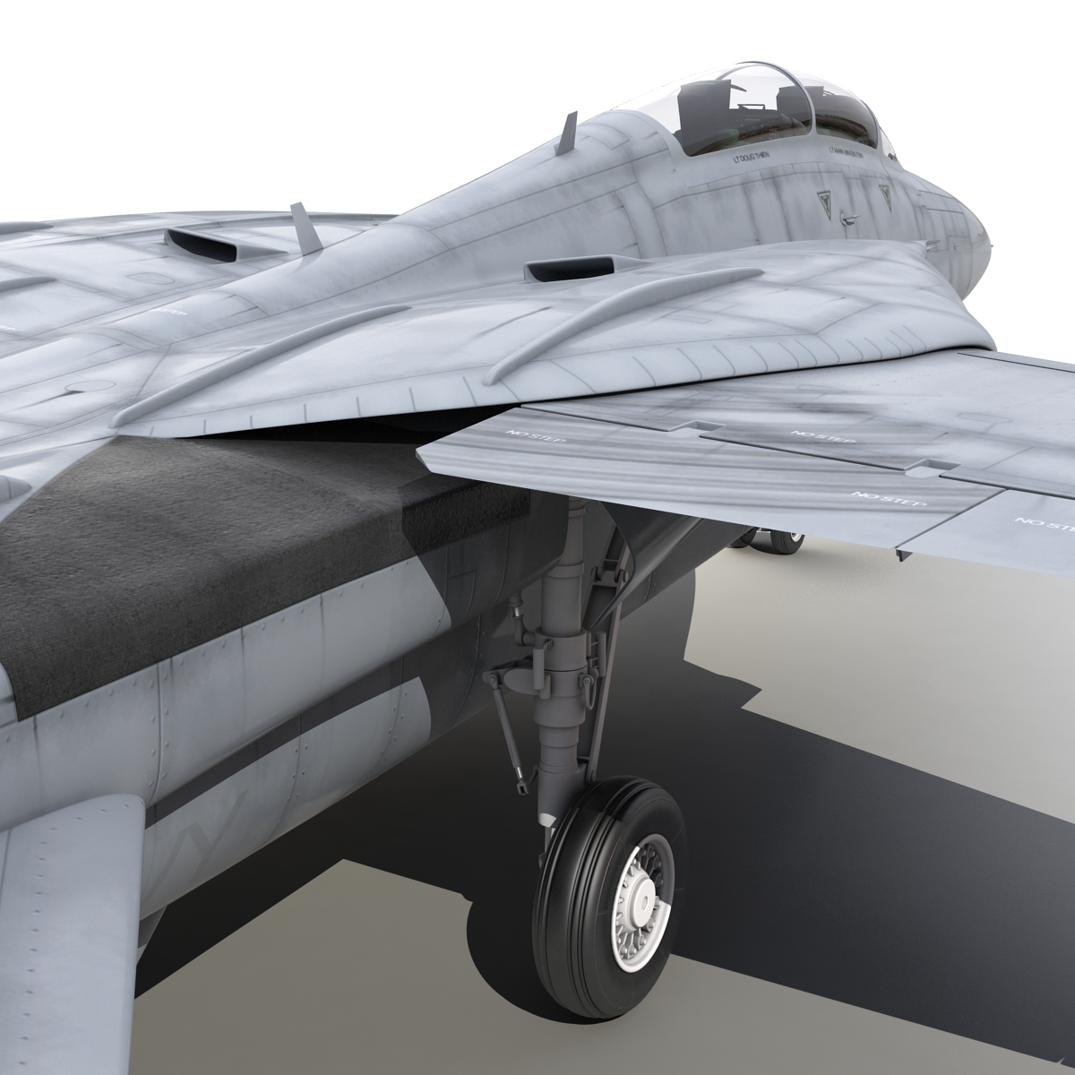 3D model F 14 Tomcat US Combat Aircraft