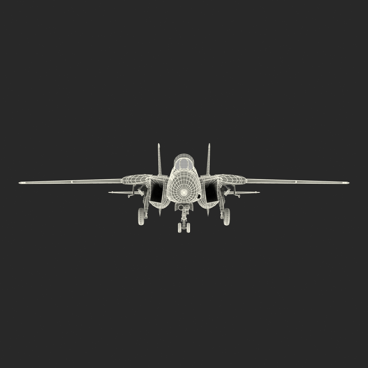 3D model F 14 Tomcat US Combat Aircraft