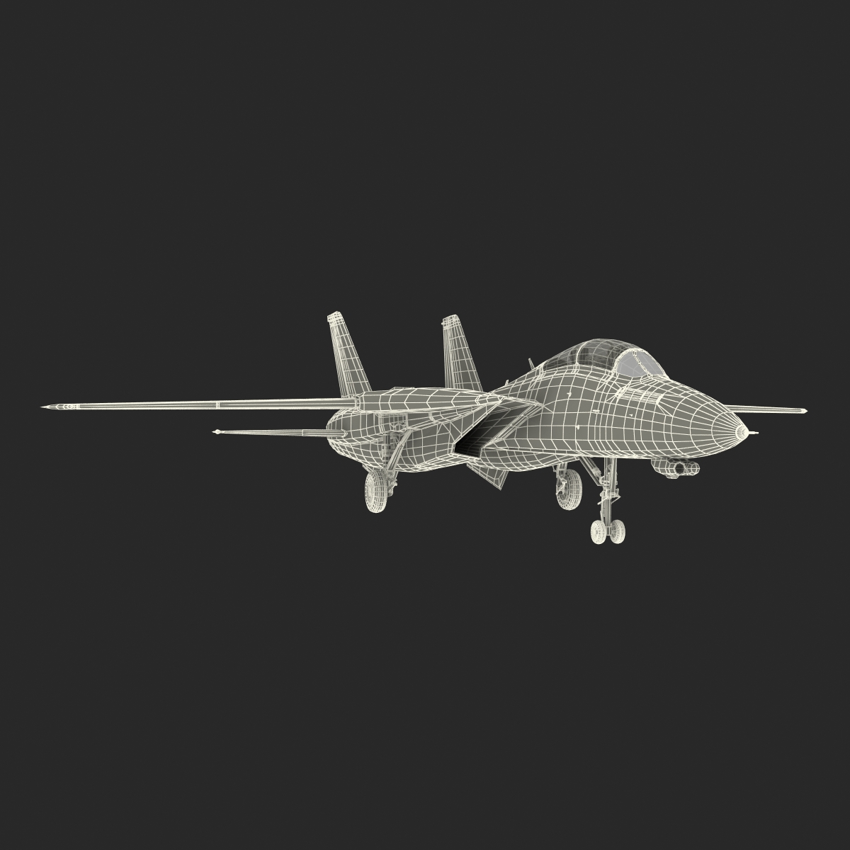 3D model F 14 Tomcat US Combat Aircraft