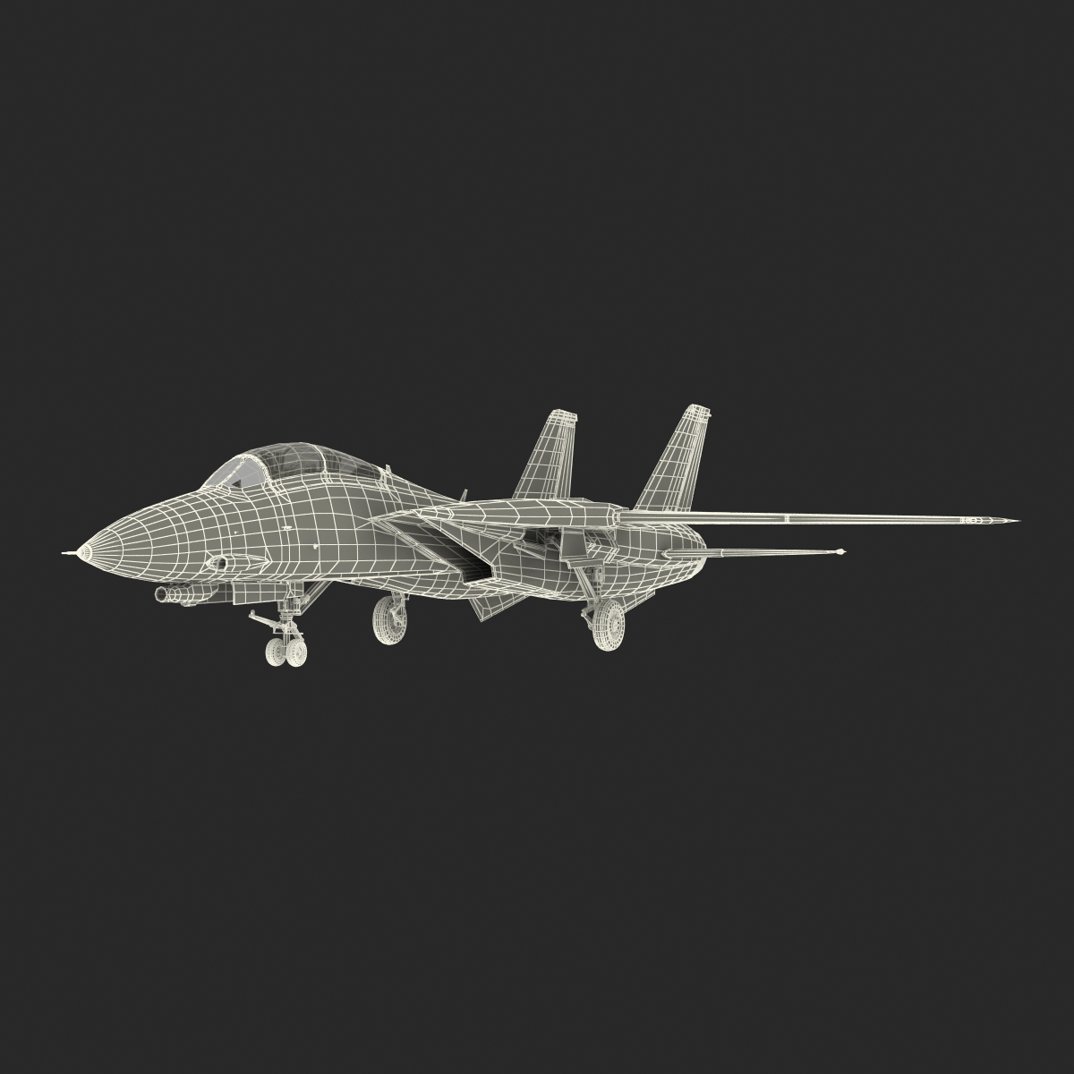 3D model F 14 Tomcat US Combat Aircraft