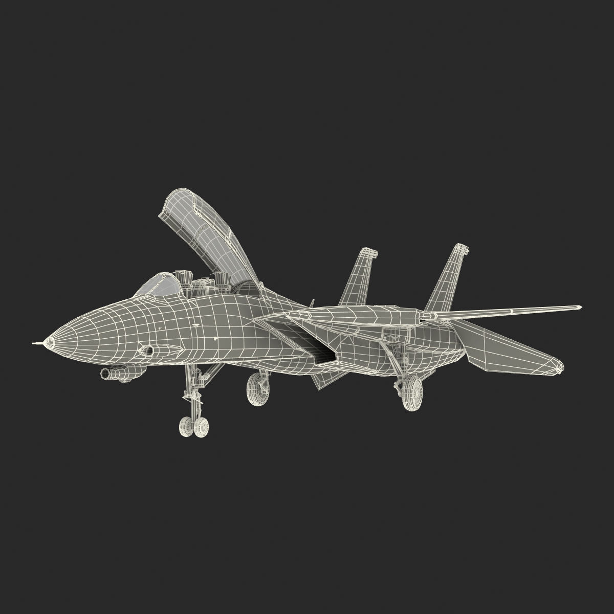 3D model F 14 Tomcat US Combat Aircraft