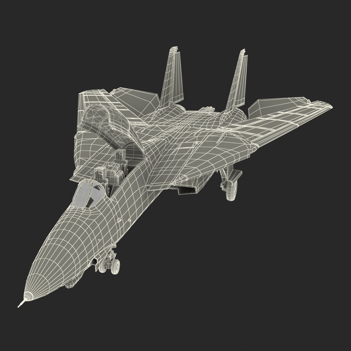 3D model F 14 Tomcat US Combat Aircraft