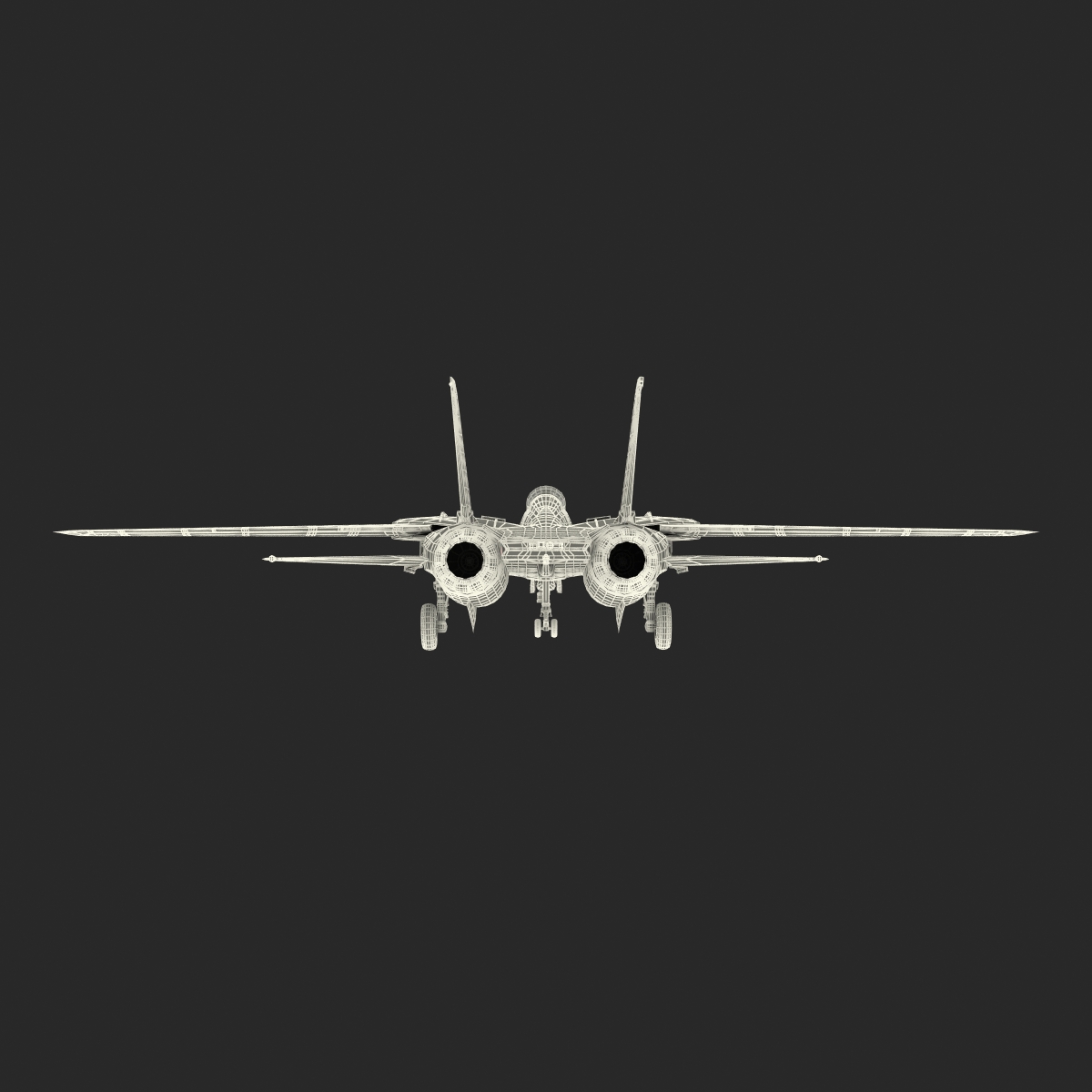 3D model F 14 Tomcat US Combat Aircraft