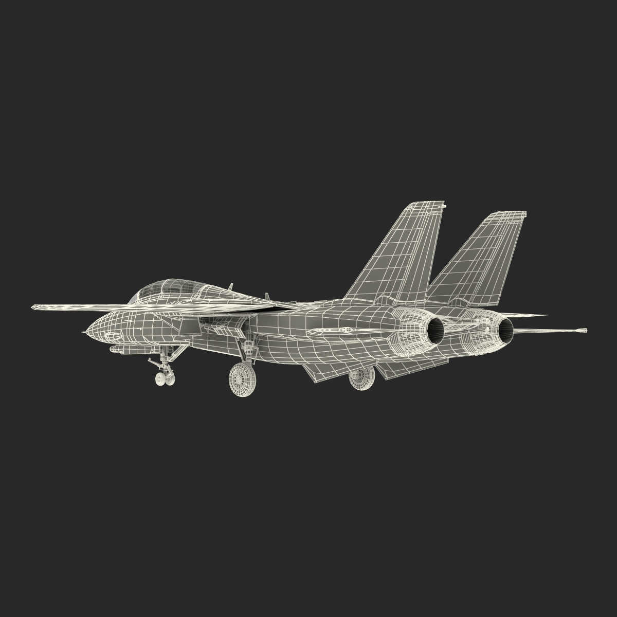 3D model F 14 Tomcat US Combat Aircraft