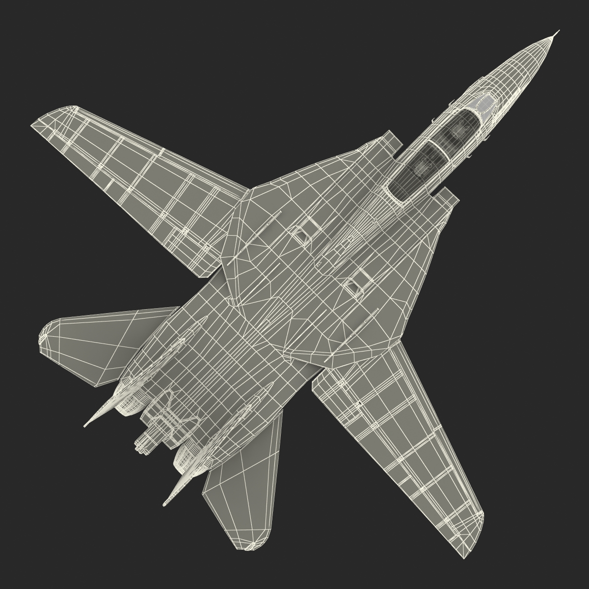 3D model F 14 Tomcat US Combat Aircraft