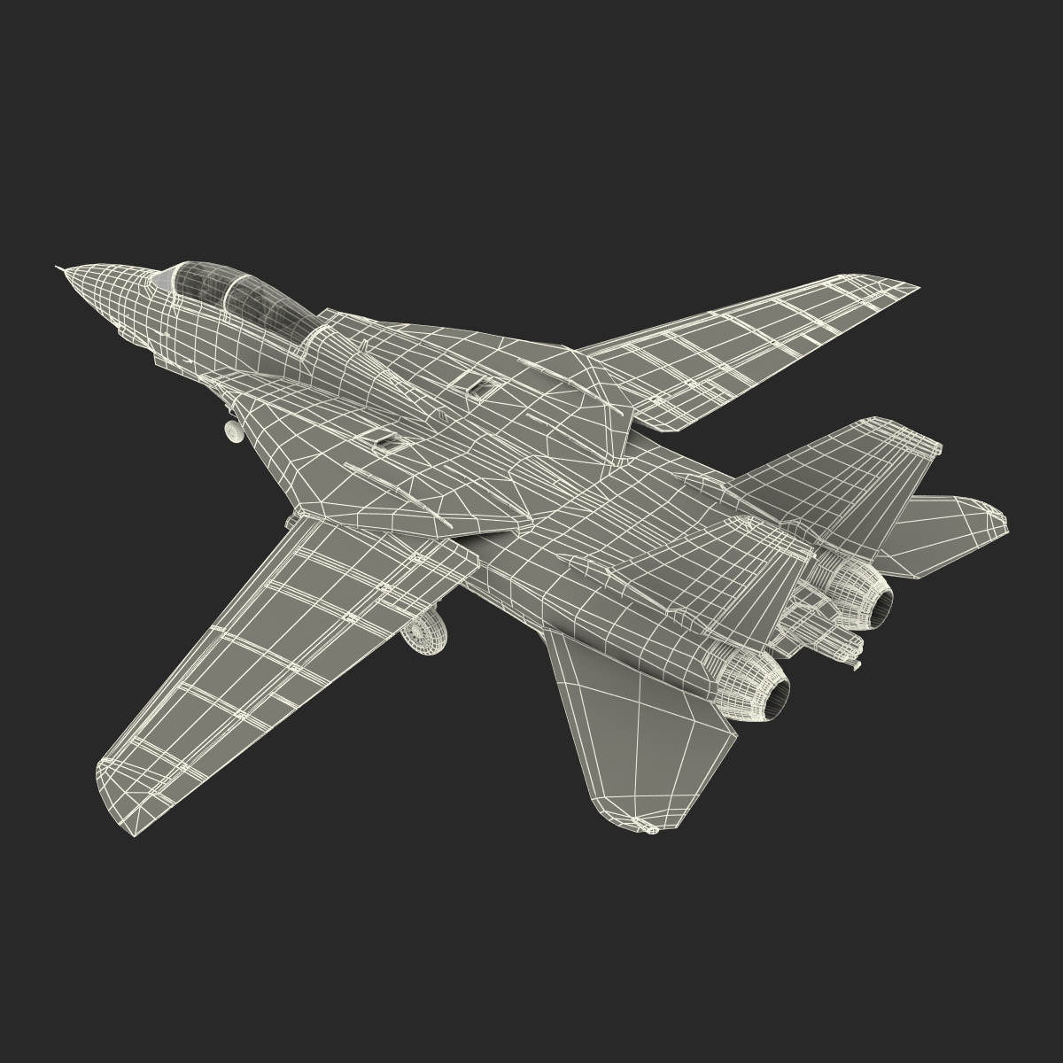 3D model F 14 Tomcat US Combat Aircraft