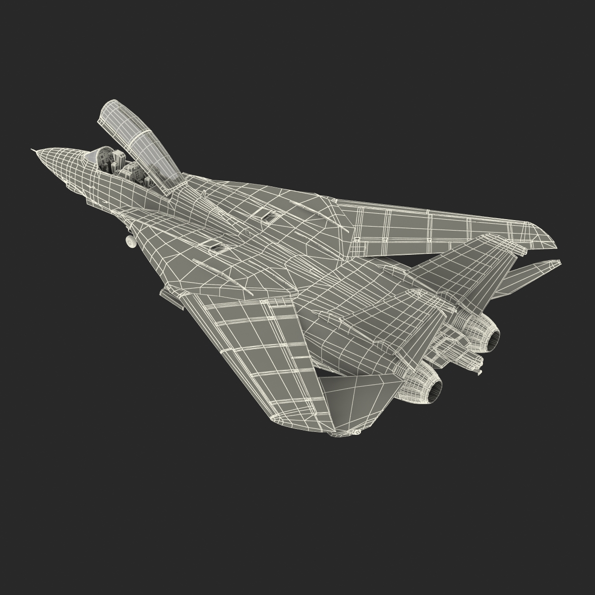 3D model F 14 Tomcat US Combat Aircraft