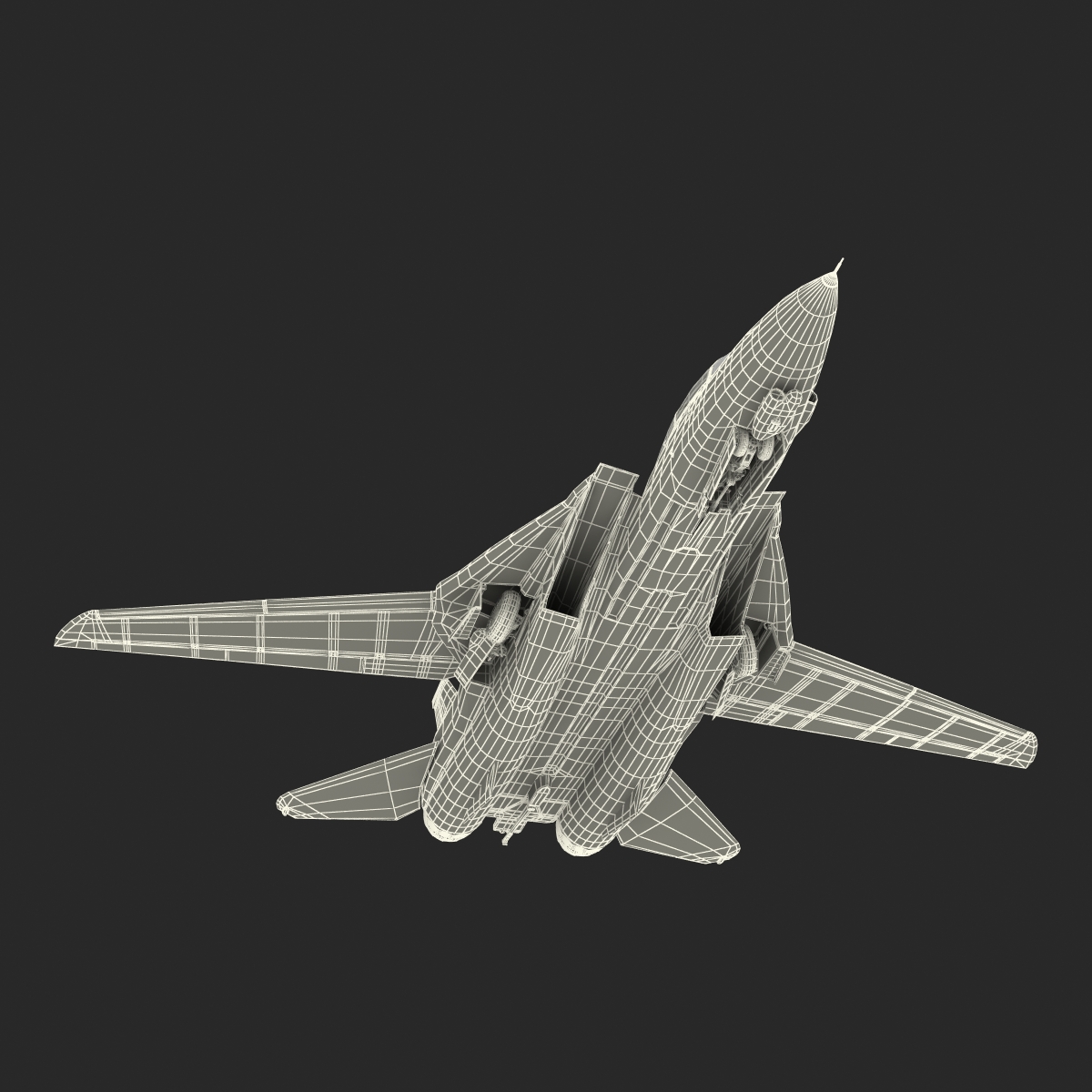 3D model F 14 Tomcat US Combat Aircraft