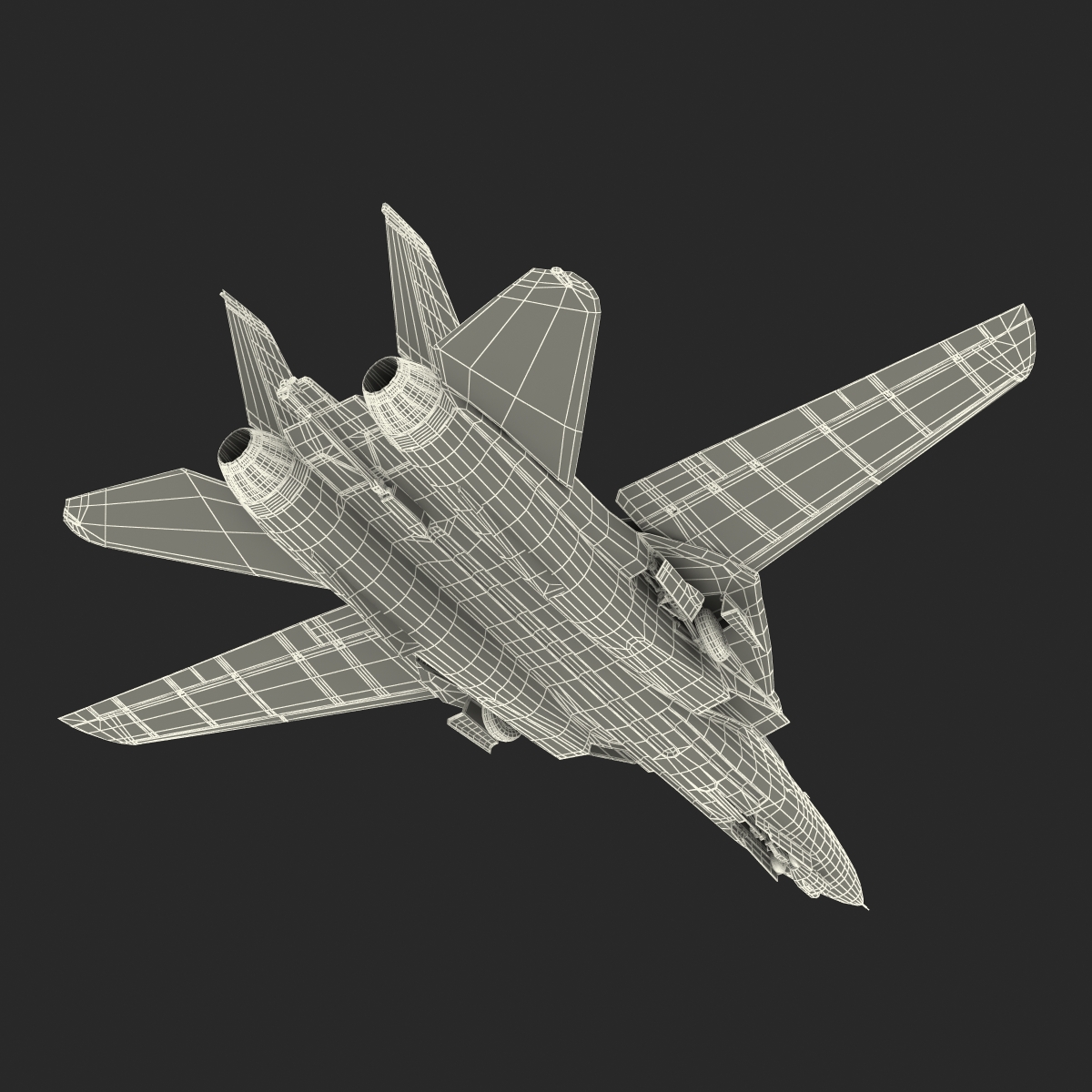 3D model F 14 Tomcat US Combat Aircraft