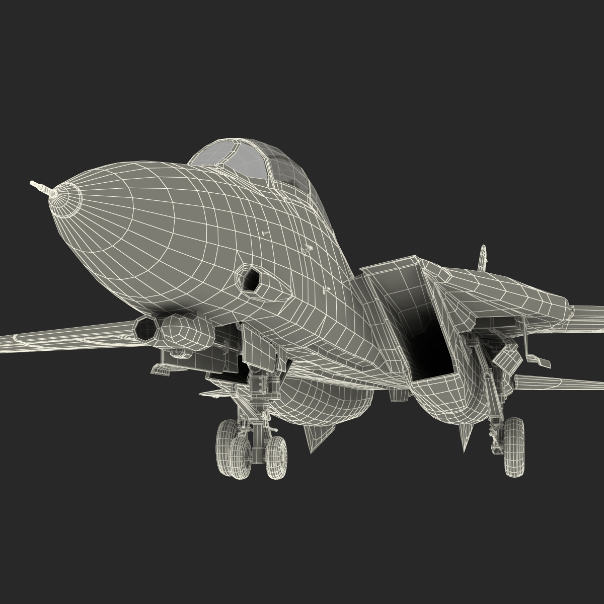 3D model F 14 Tomcat US Combat Aircraft