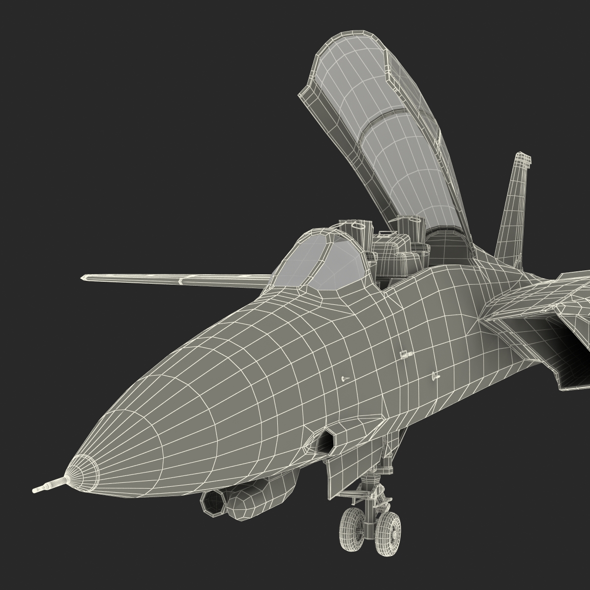 3D model F 14 Tomcat US Combat Aircraft