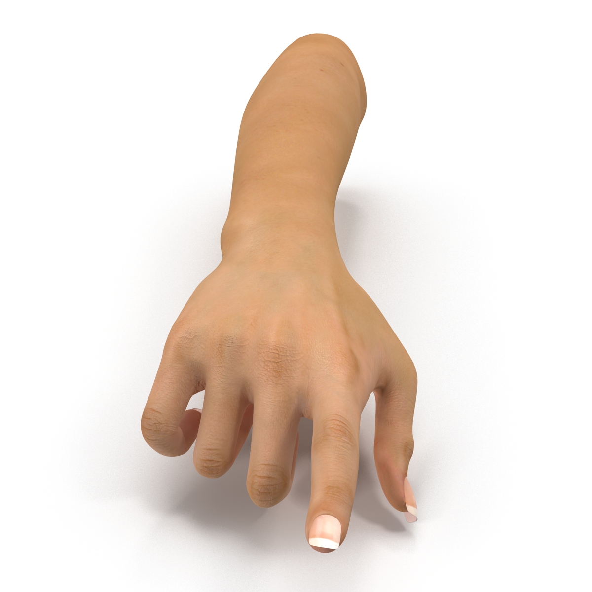 3D Female Hand Rigged model