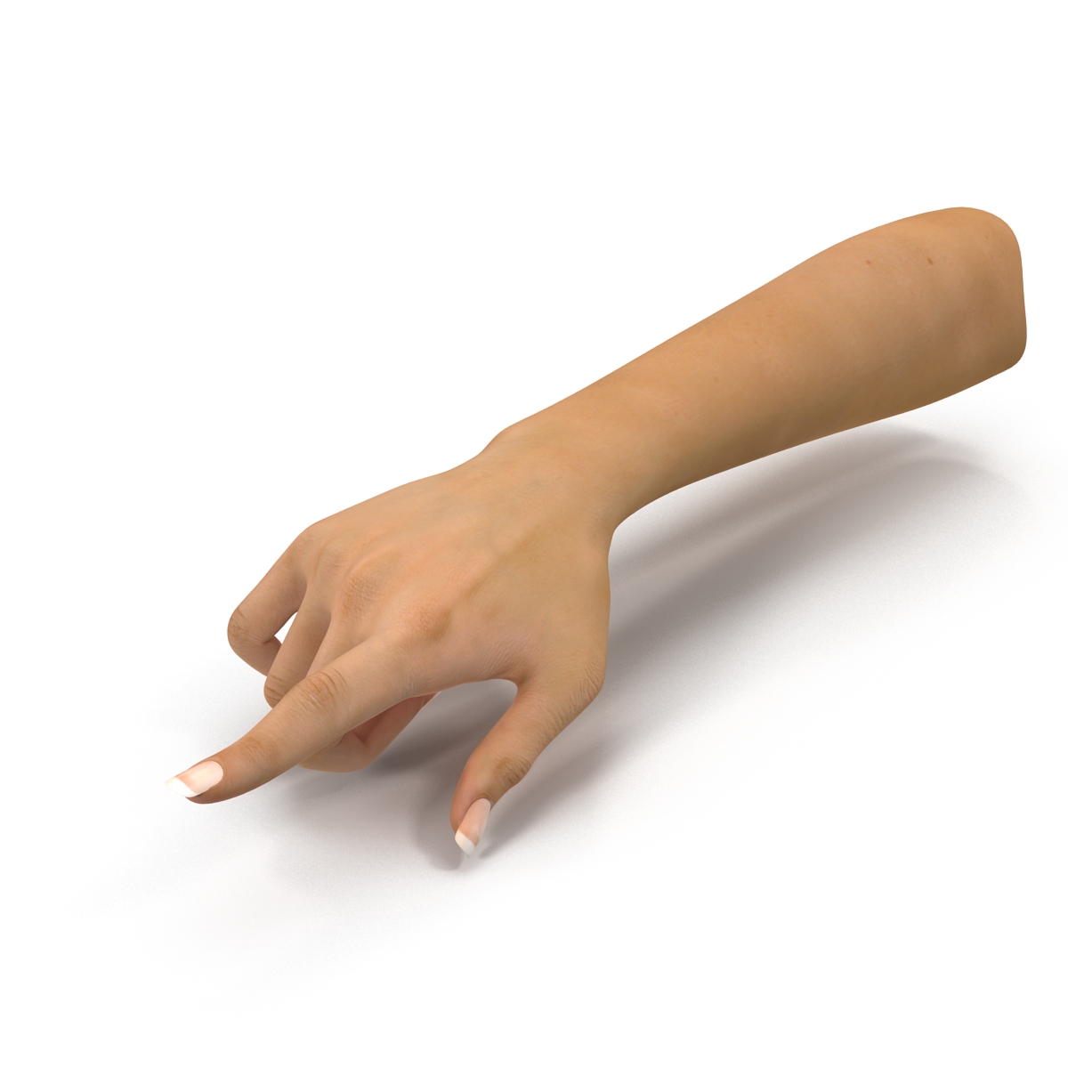 3D Female Hand Rigged model