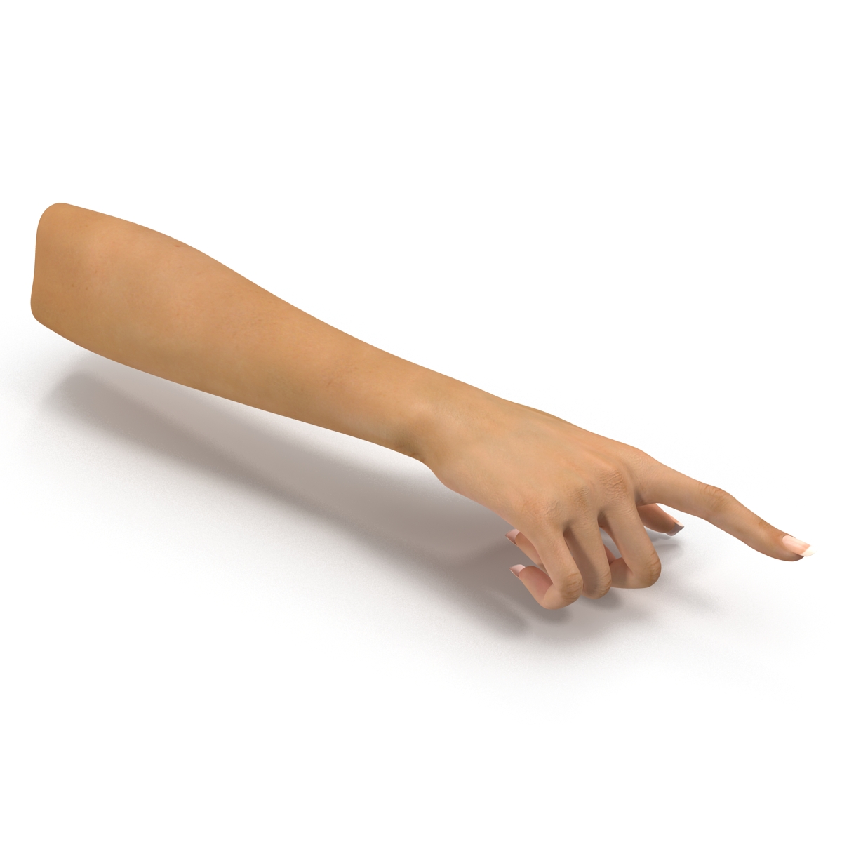 3D Female Hand Rigged model