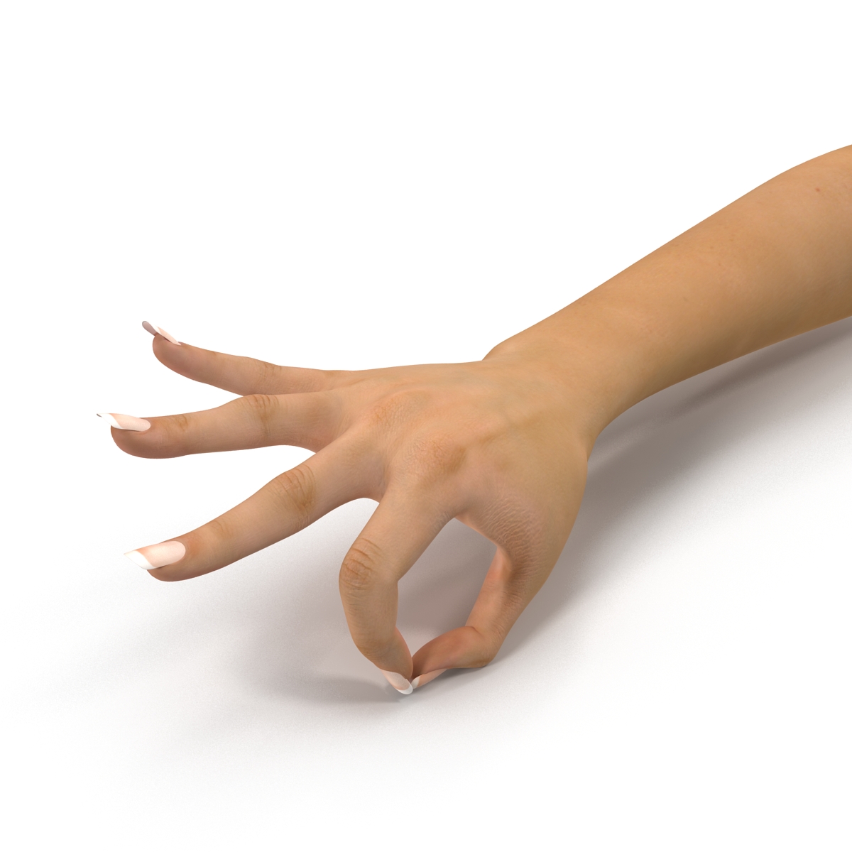 3D Female Hand Rigged model