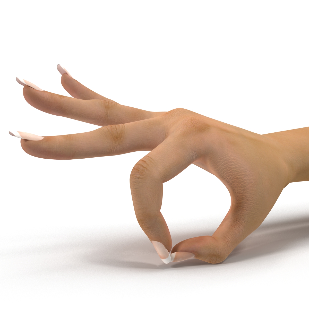 3D Female Hand Rigged model