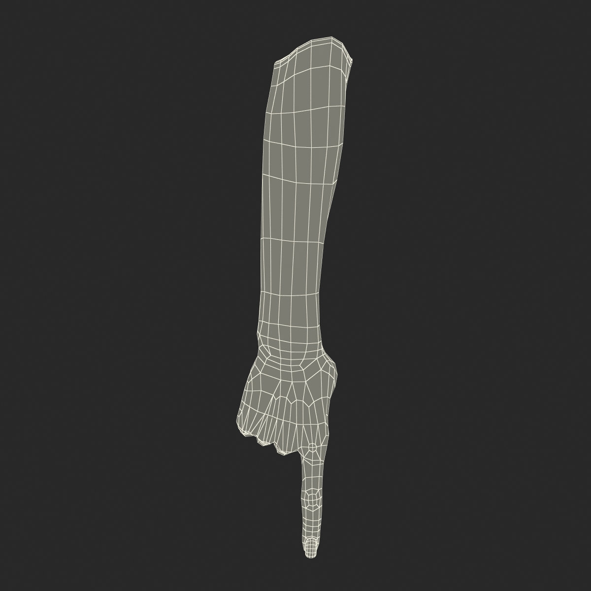 3D Female Hand Rigged model