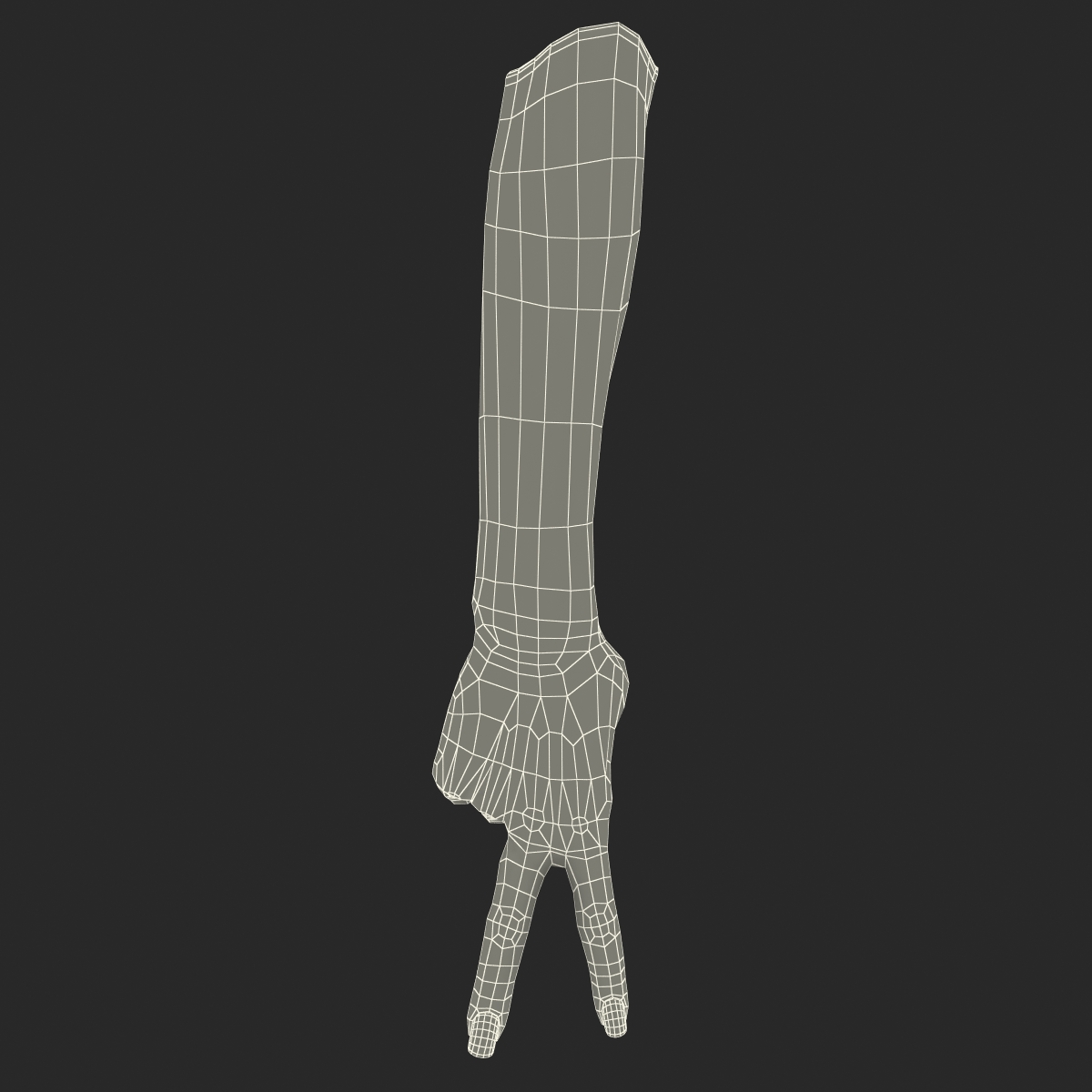 3D Female Hand Rigged model