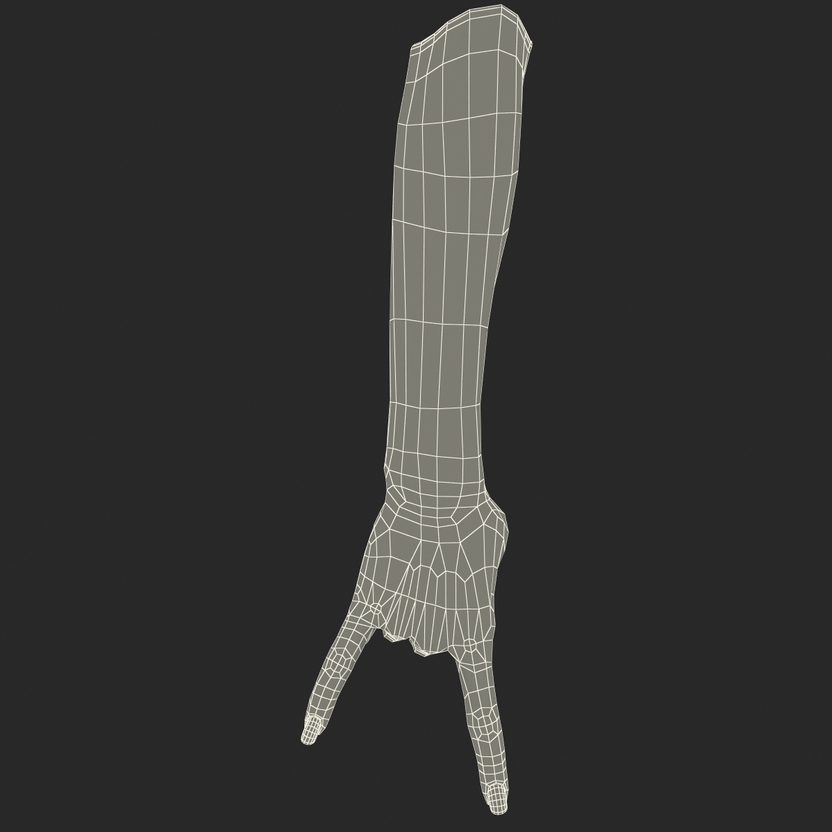 3D Female Hand Rigged model