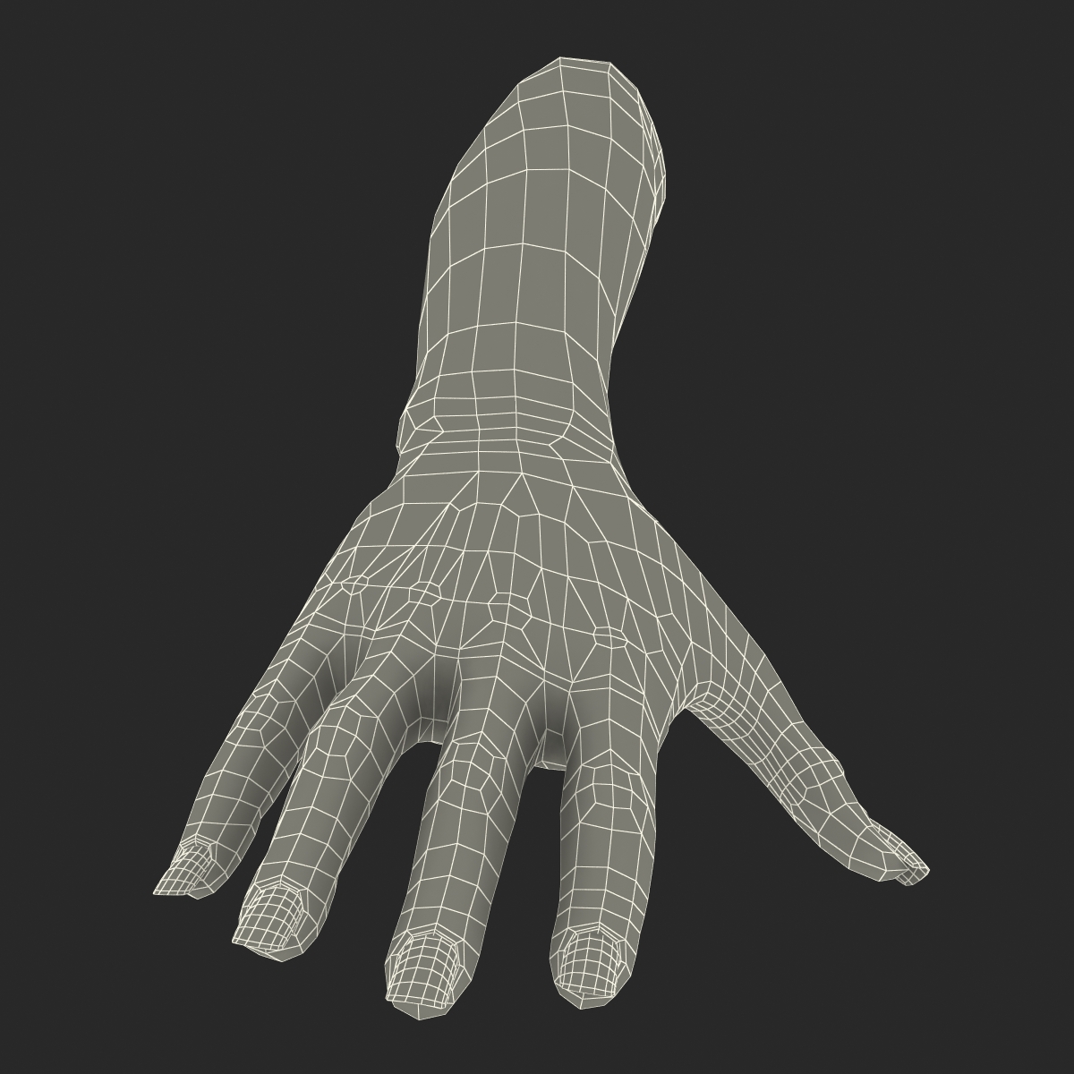 3D Female Hand Rigged model