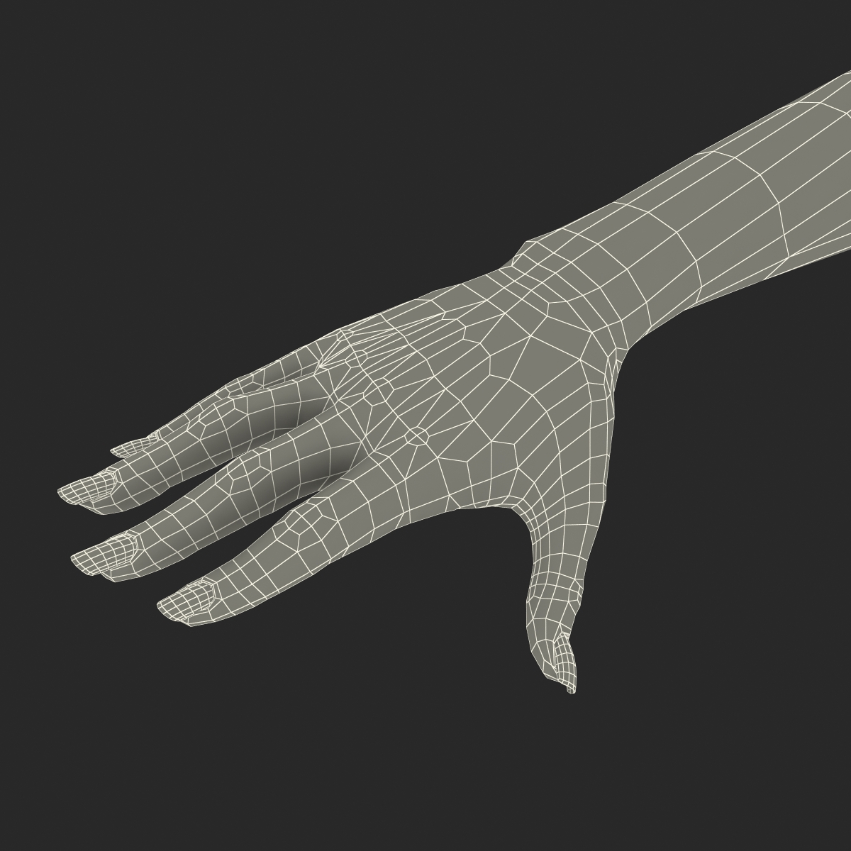 3D Female Hand Rigged model