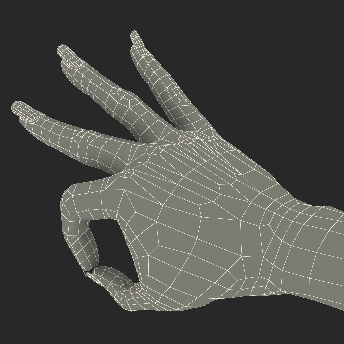 3D Female Hand Rigged model