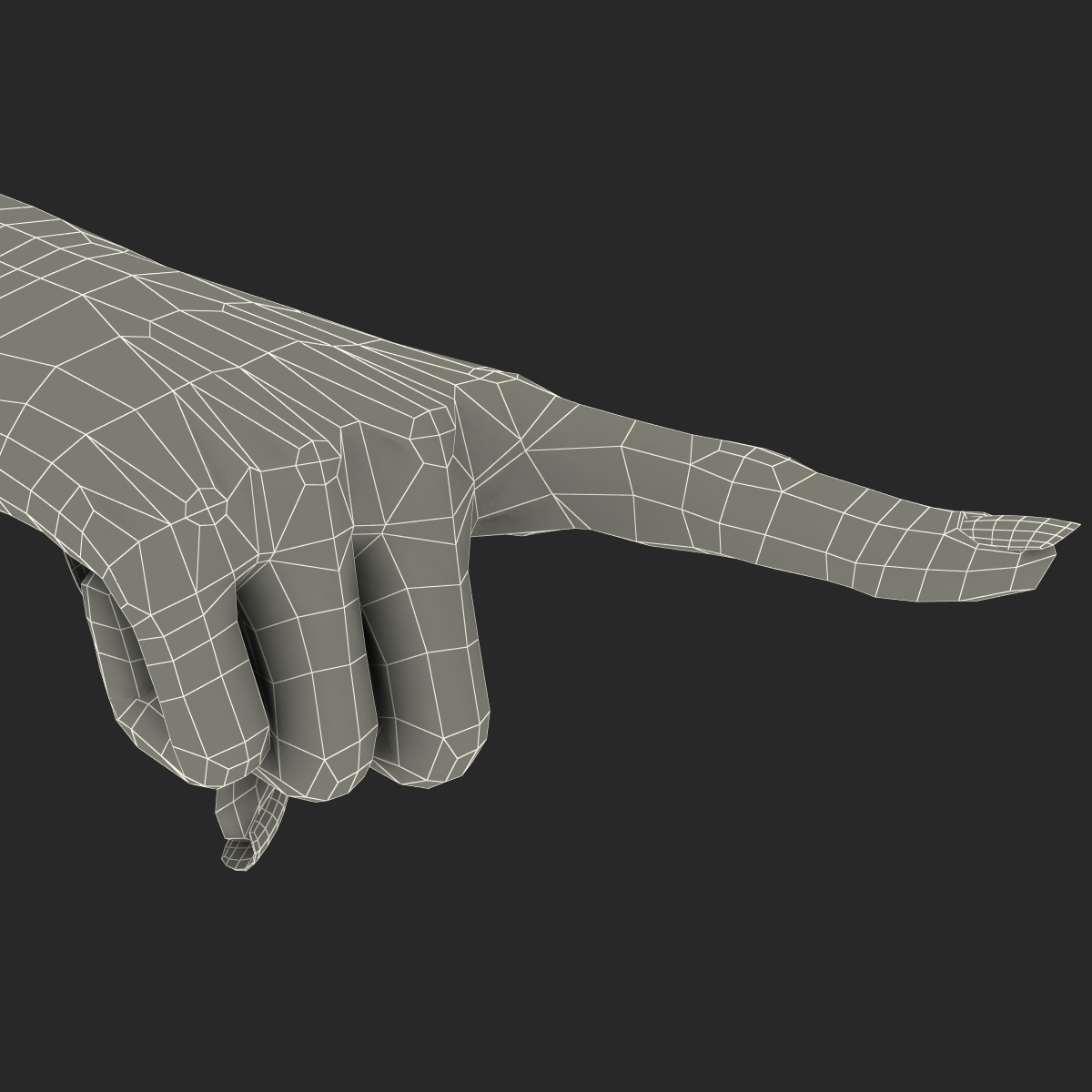 3D Female Hand Rigged model