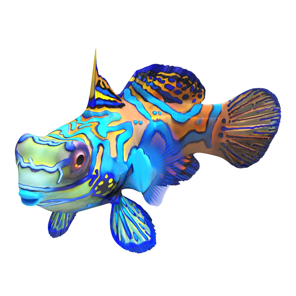 Mandarinfish Rigged 3D model