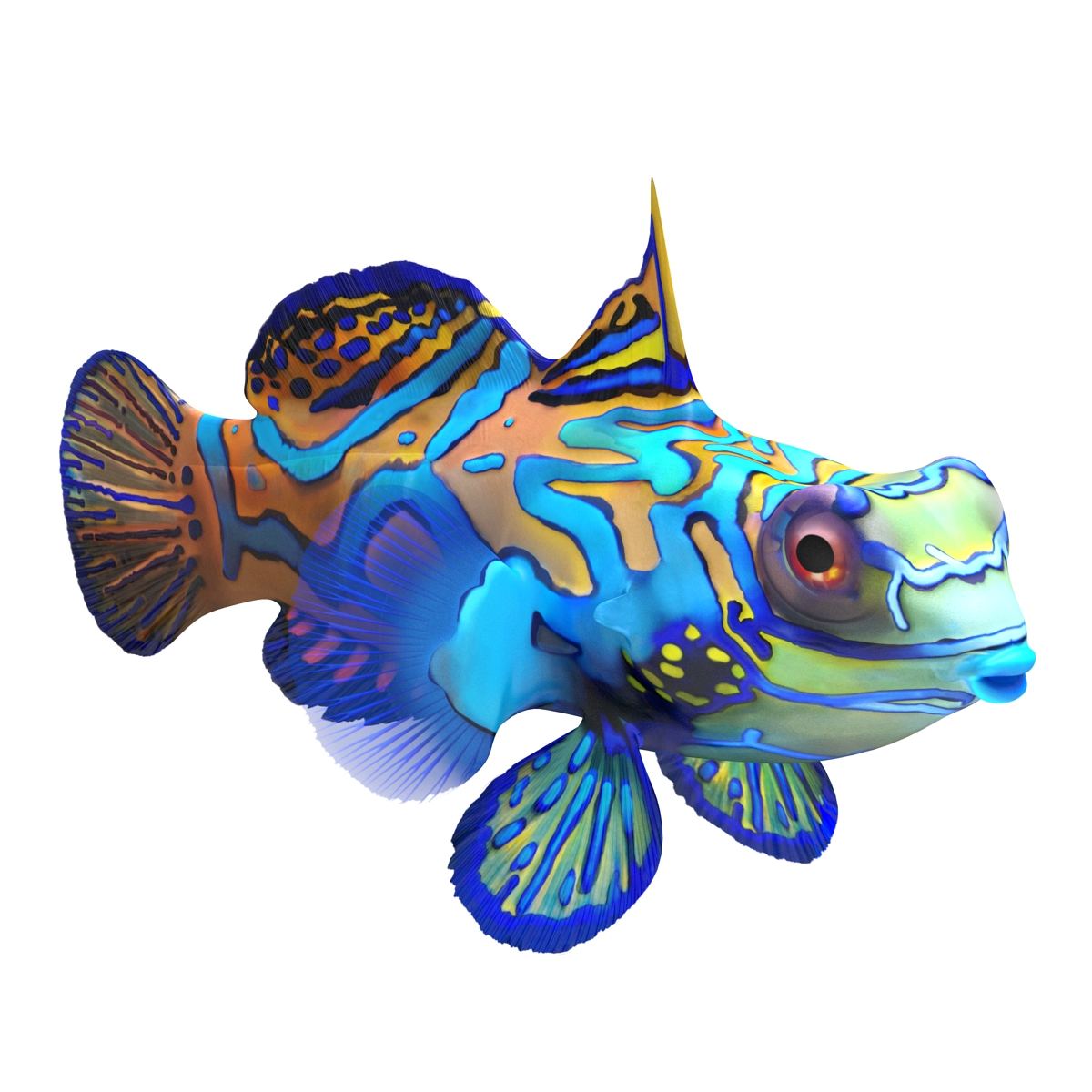 Mandarinfish Rigged 3D model