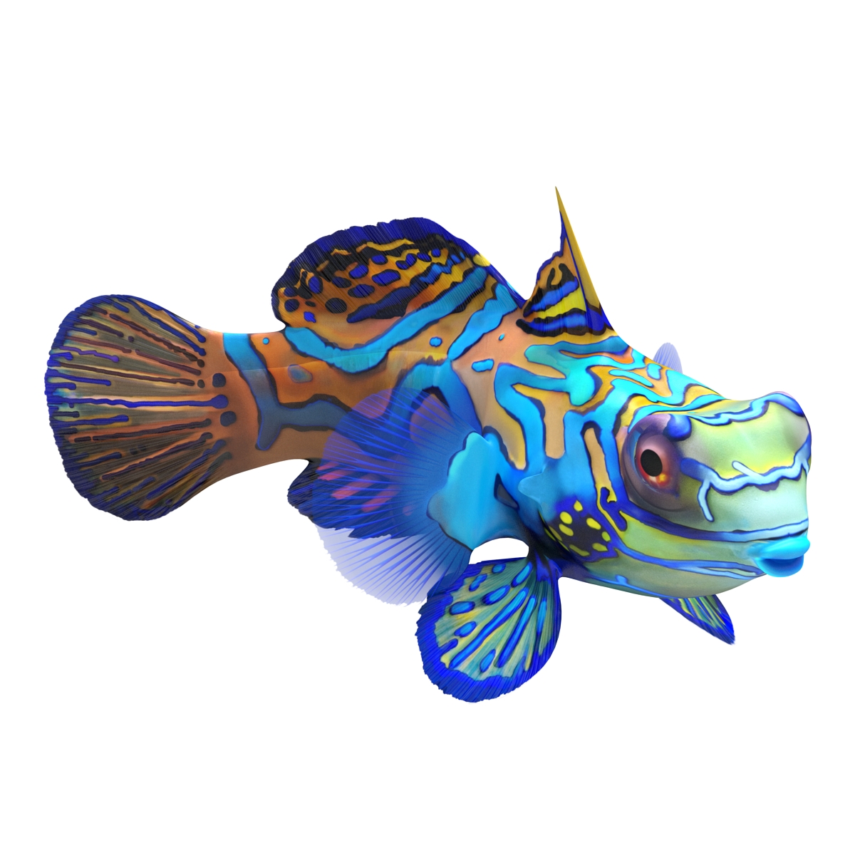 Mandarinfish Rigged 3D model