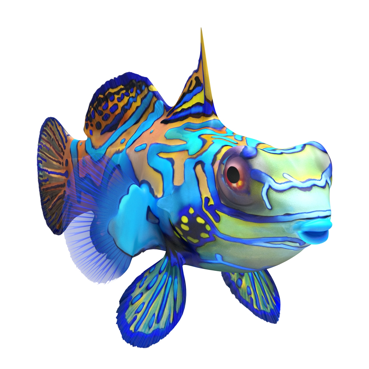 Mandarinfish 3D